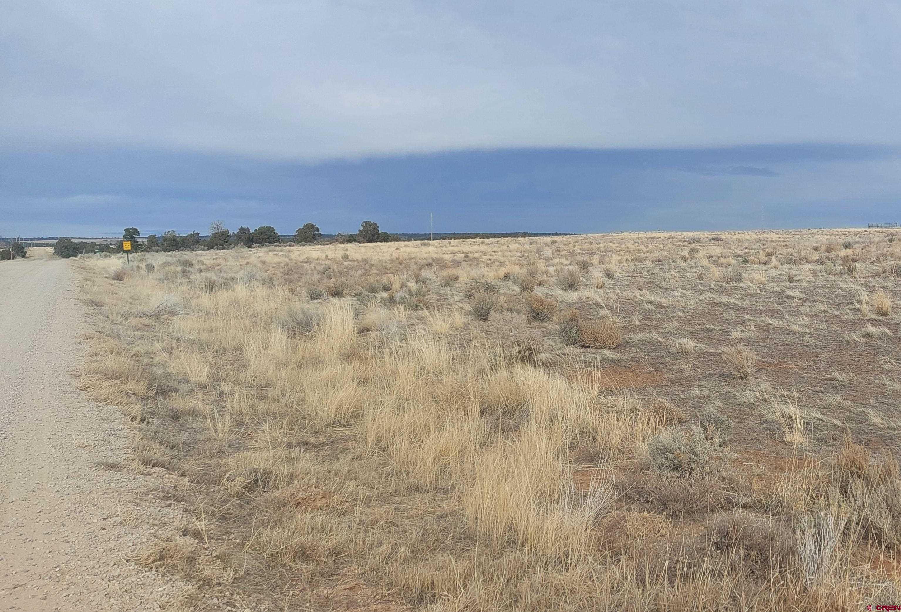 14134 Road N 3 Road Cahone, CO 81320 - Photo 5 of 5