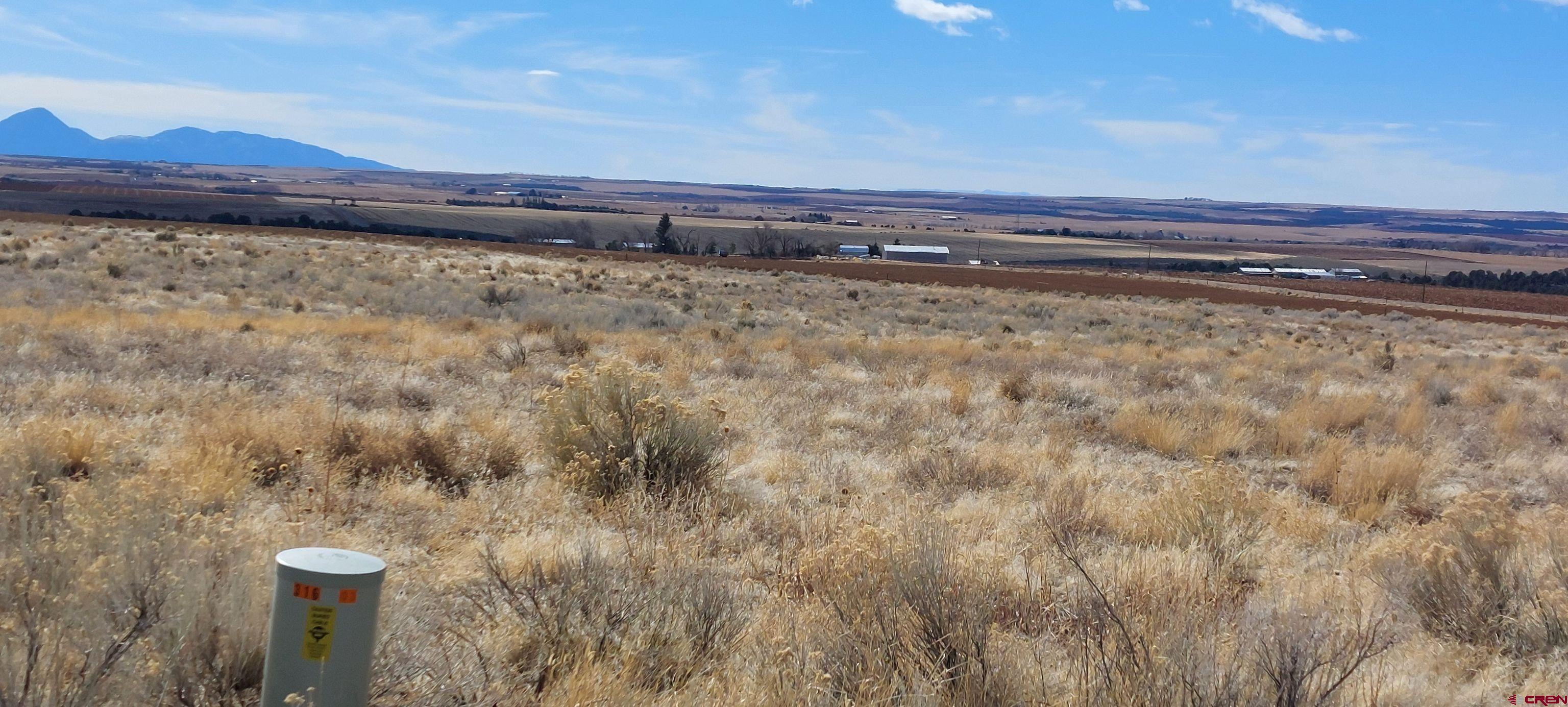 14134 Road N 3 Road Cahone, CO 81320 - Photo 6 of 13 a view of a yard with wooden fence