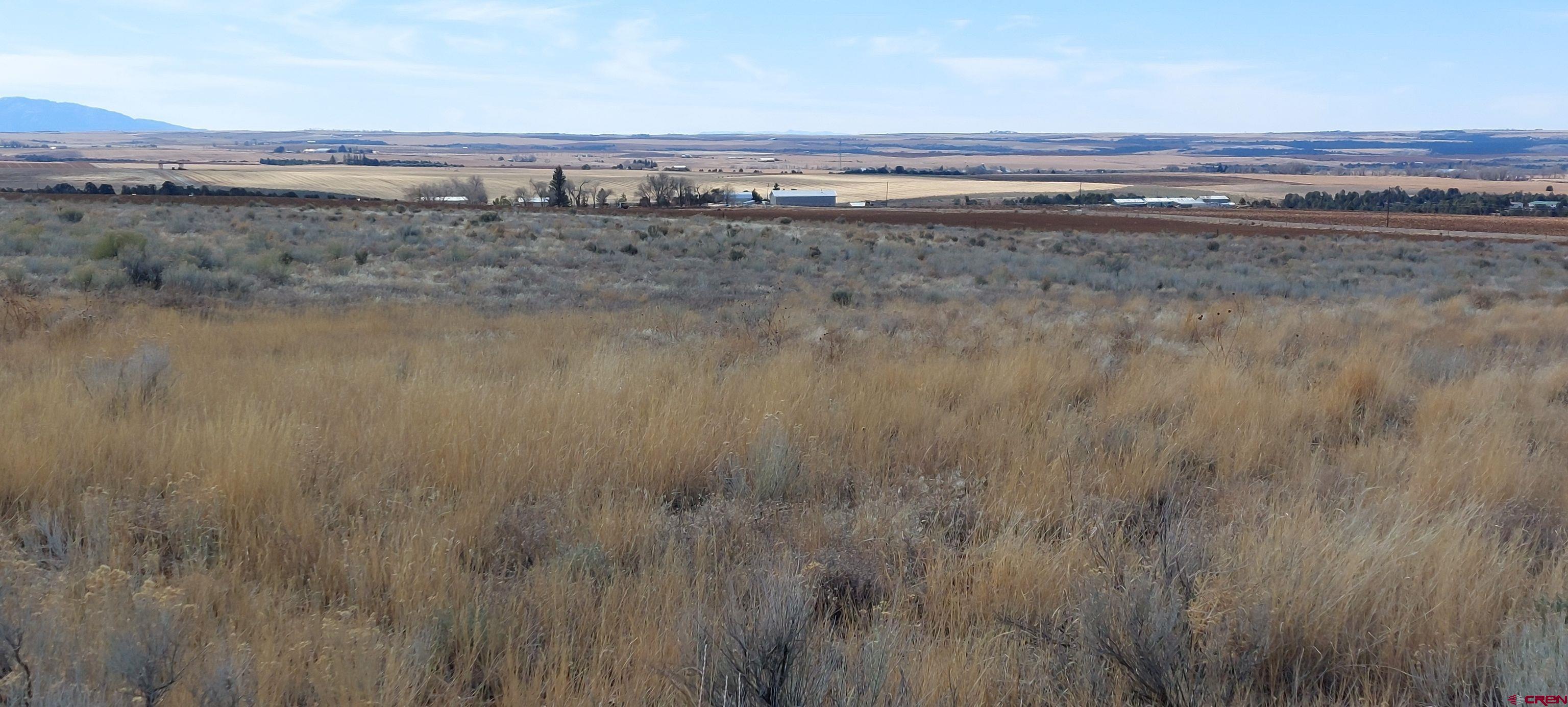 14134 Road N 3 Road Cahone, CO 81320 - Photo 8 of 13 a view of a field with an ocean beach