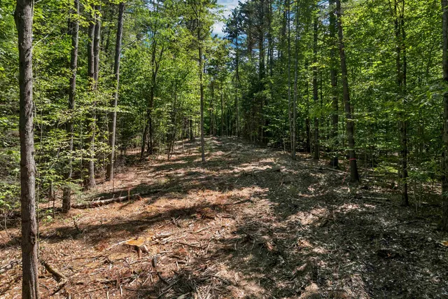 $1,790,000 | 617-619 Route 103a Map 91 New London Nh 03257, New London, NH 03257