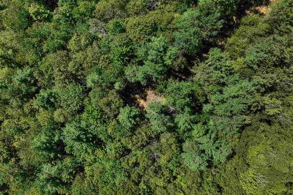 $1,590,000 | 617-619 Route 103a Map 91 New London Nh 03257, New London, NH 03257