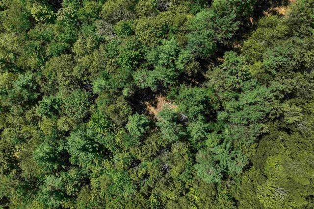 $1,790,000 | 617-619 Route 103a Map 91 New London Nh 03257, New London, NH 03257