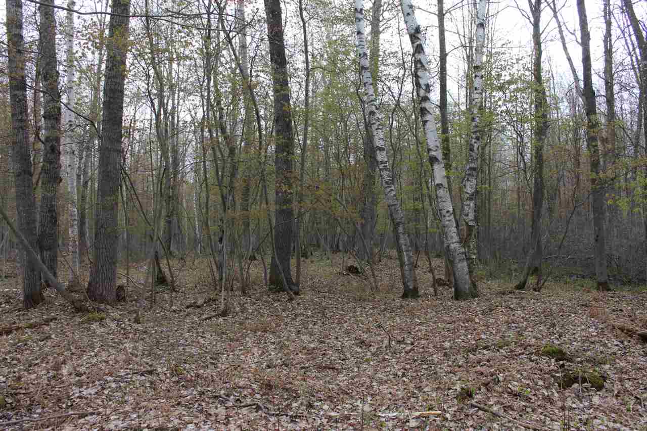 0 Nine North Nine Mile Road Pinconning, MI 48650 - Photo 11 of 32