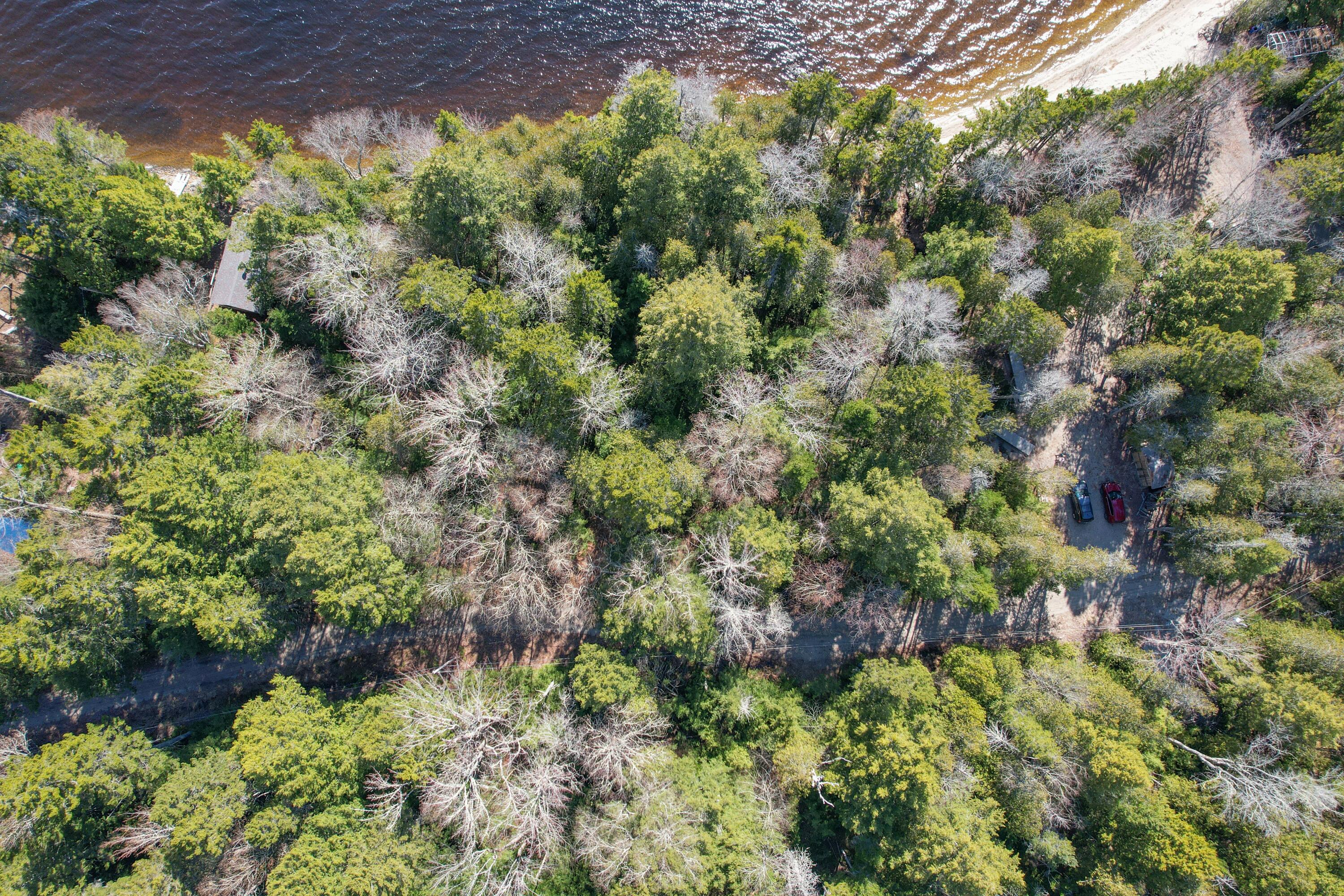 98 Beavers Road Sullivan, ME 04664 - Photo 5 of 22 DJI_0067