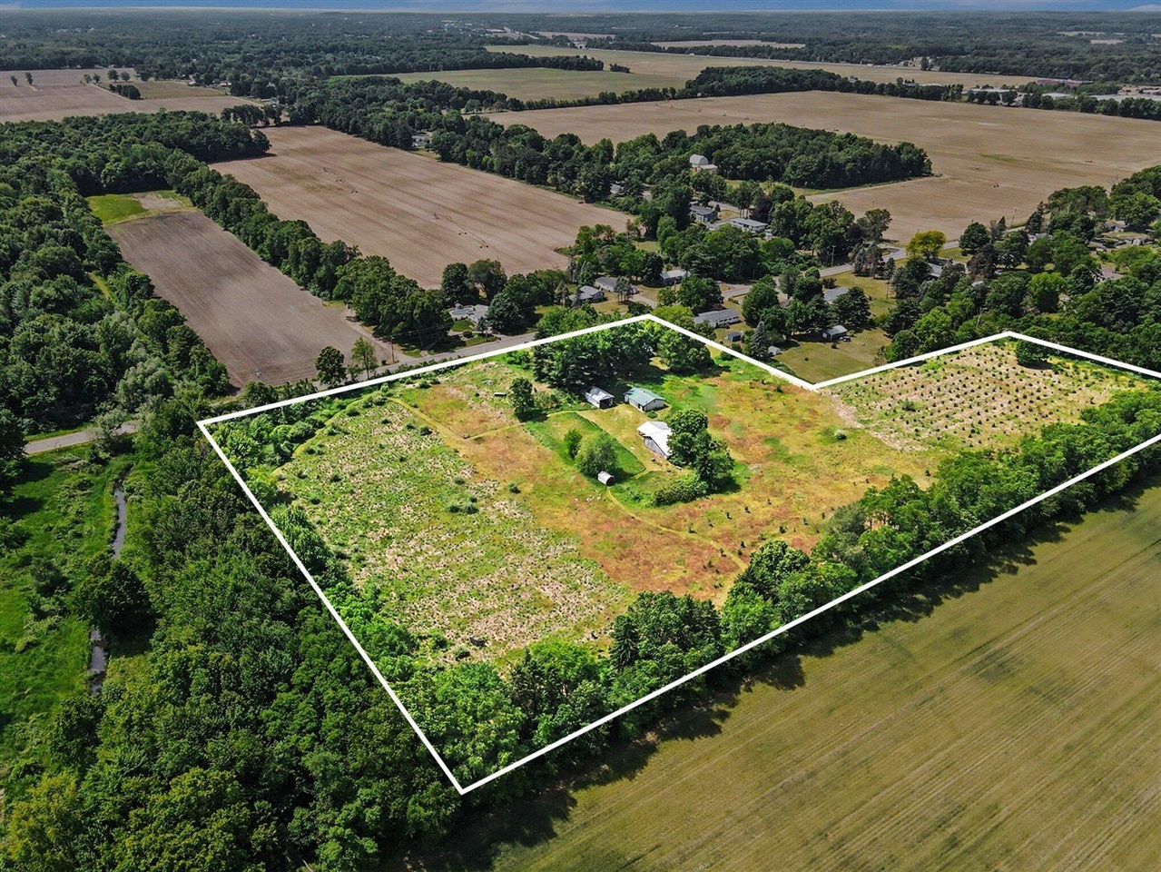 17650 Heimbach Road Three Rivers, MI 49093 - Photo 8 of 41