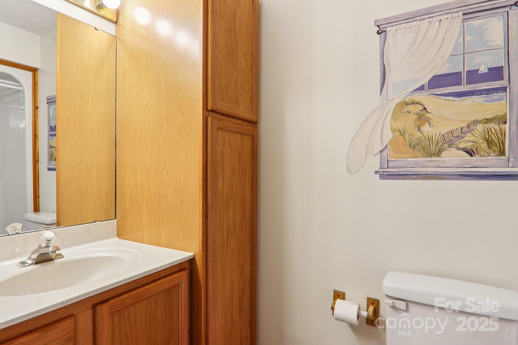 126 Pasco Loop Waynesville, NC 28785 - Photo 28 of 44 a bathroom with a sink and a mirror
