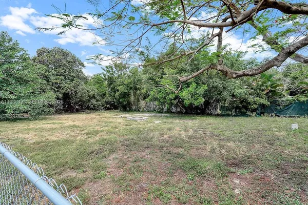 a view of a yard with plants and trees
