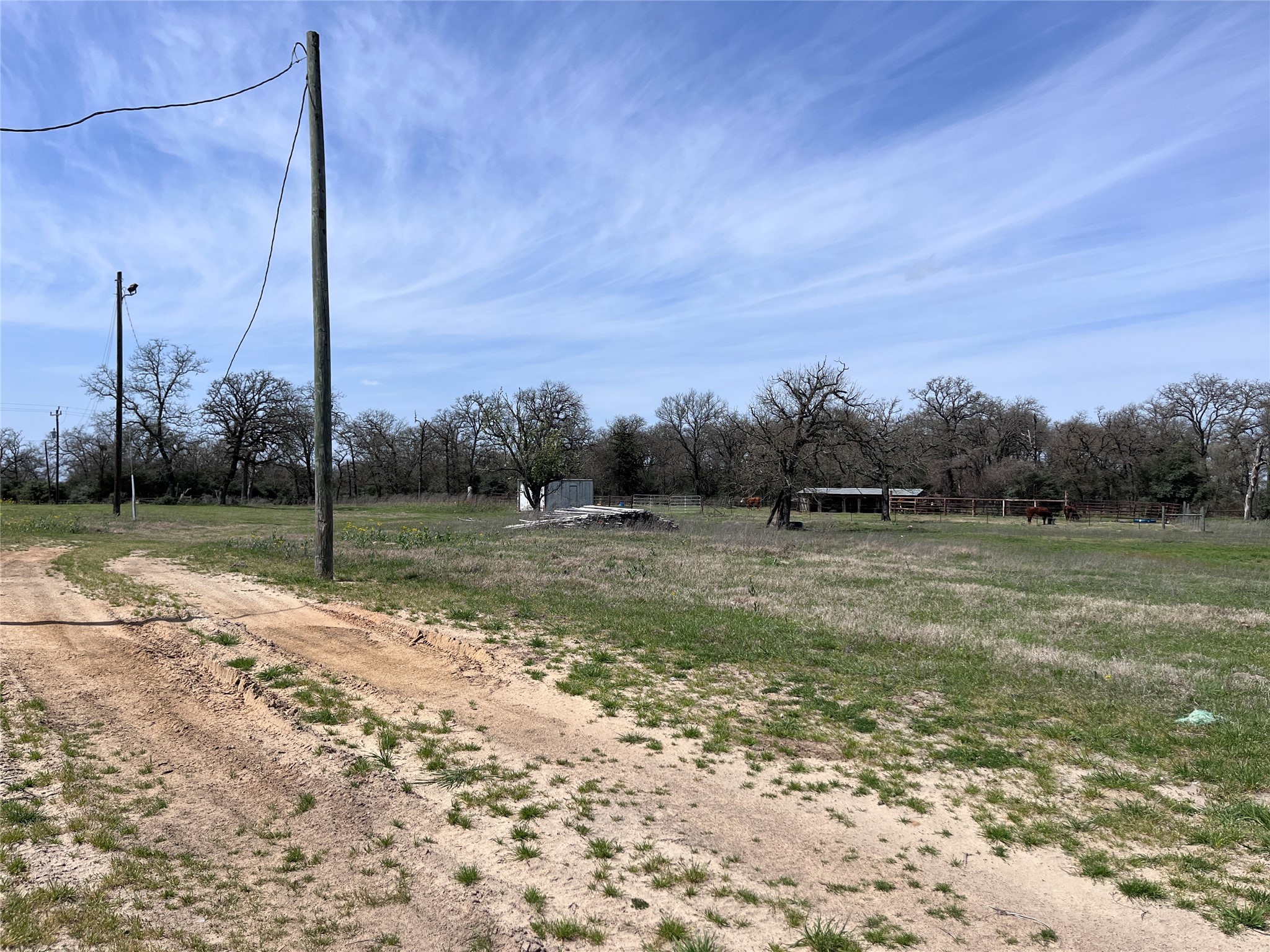 296 County Road 702 Kosse, TX 76653 - Photo 11 of 19 a view of a garden with a tree