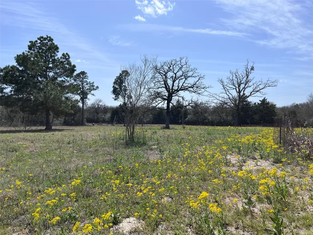 a view of outdoor space with field and trees