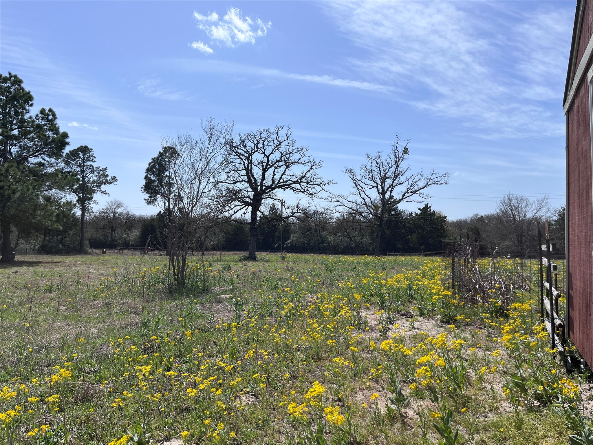 296 County Road 702 Kosse, TX 76653 - Photo 17 of 19 a view of yard with green space