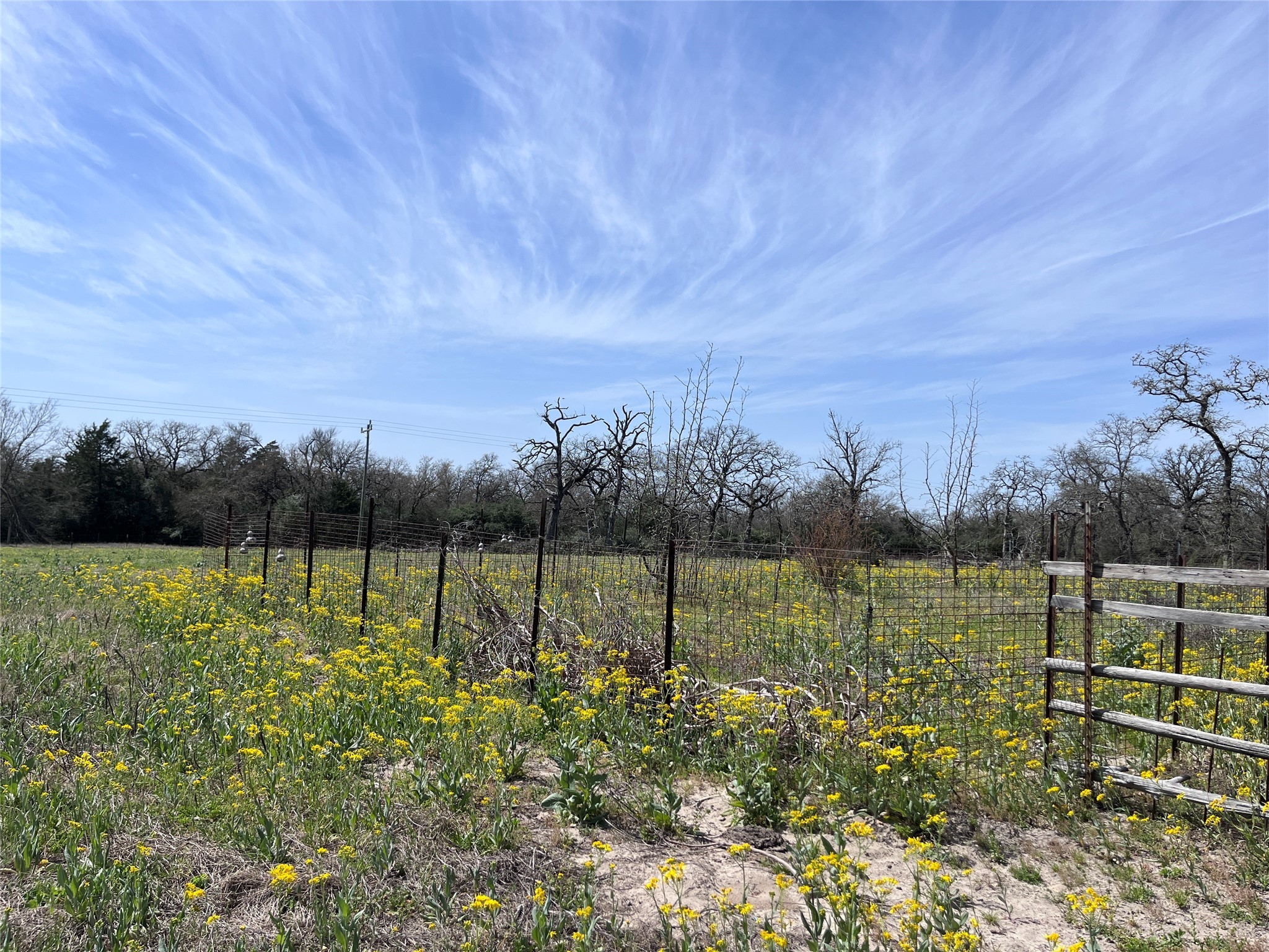 296 County Road 702 Kosse, TX 76653 - Photo 19 of 19 a view of a lake with a big yard