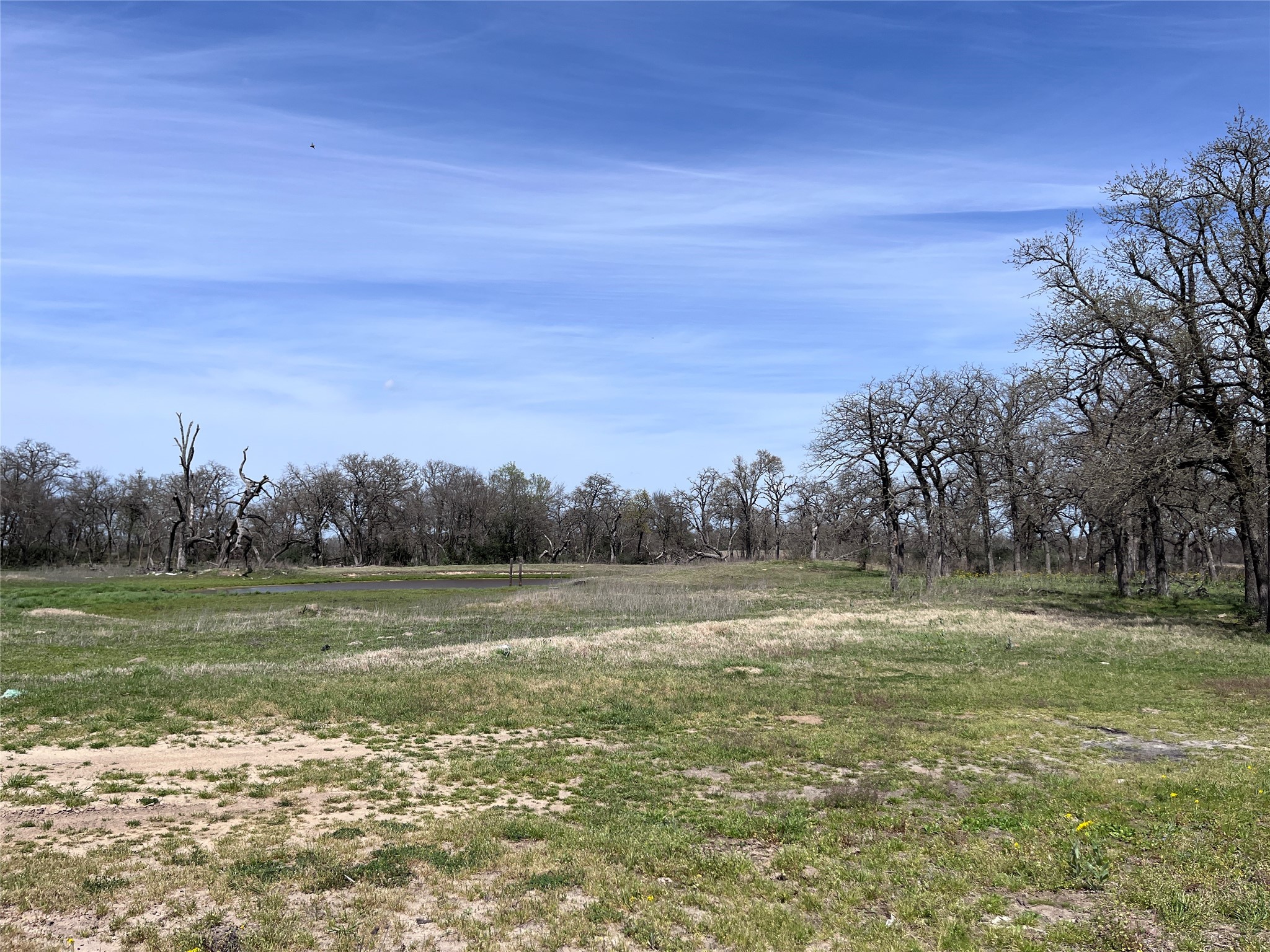 296 County Road 702 Kosse, TX 76653 - Photo 10 of 19 a view of a field with an trees