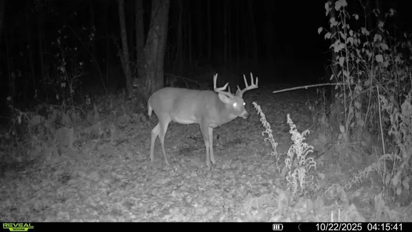 $205,000 | 2515 Highway 23 Wrenshall Mn 55797, Wrenshall, MN 55797