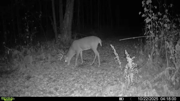 $205,000 | 2515 Highway 23 Wrenshall Mn 55797, Wrenshall, MN 55797