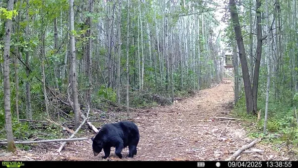 $205,000 | 2515 Highway 23 Wrenshall Mn 55797, Wrenshall, MN 55797