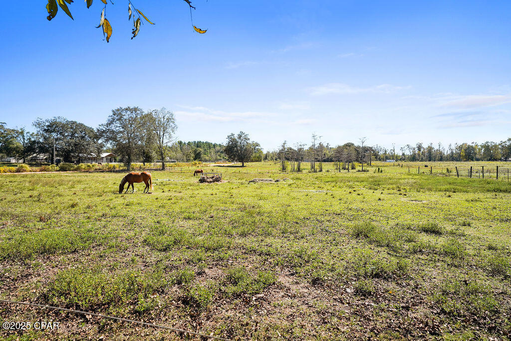 5171 Galloway Road Graceville, FL 32440 - Photo 36 of 81