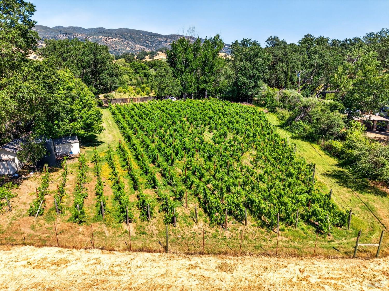 810 McNab Ranch Road Ukiah, CA 95482 - Photo 26 of 32 a view of a yard