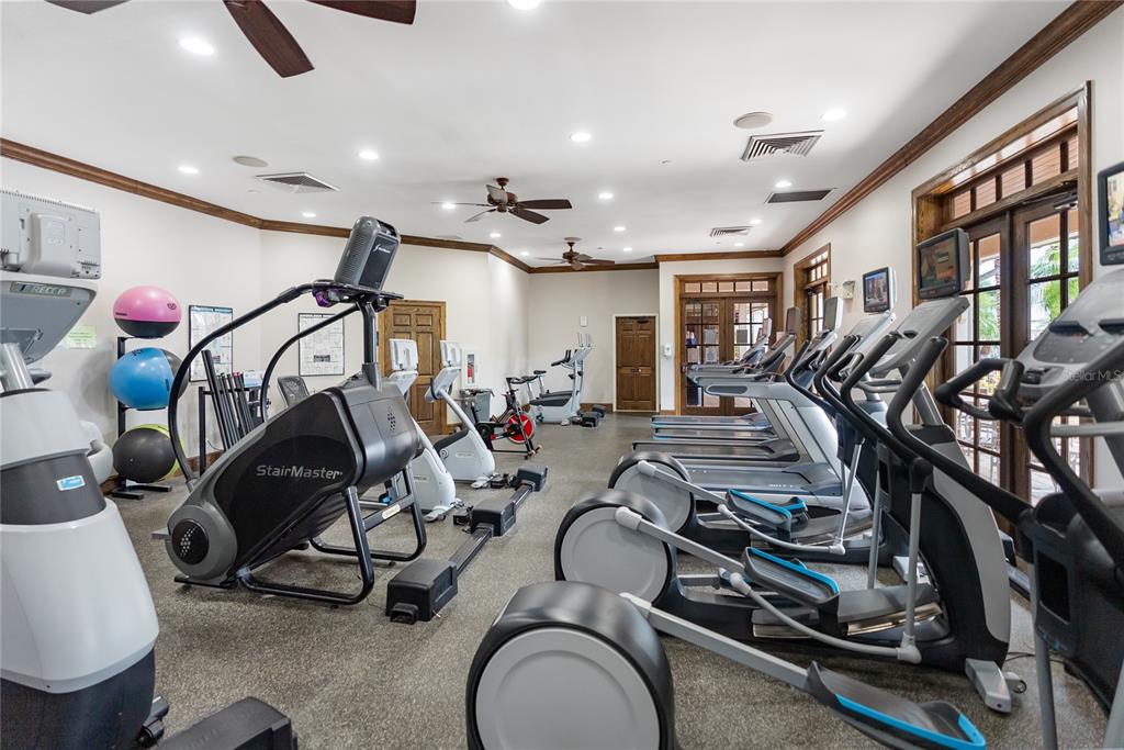 716 Pinckney Drive Apollo Beach, FL 33572 - Photo 68 of 70
