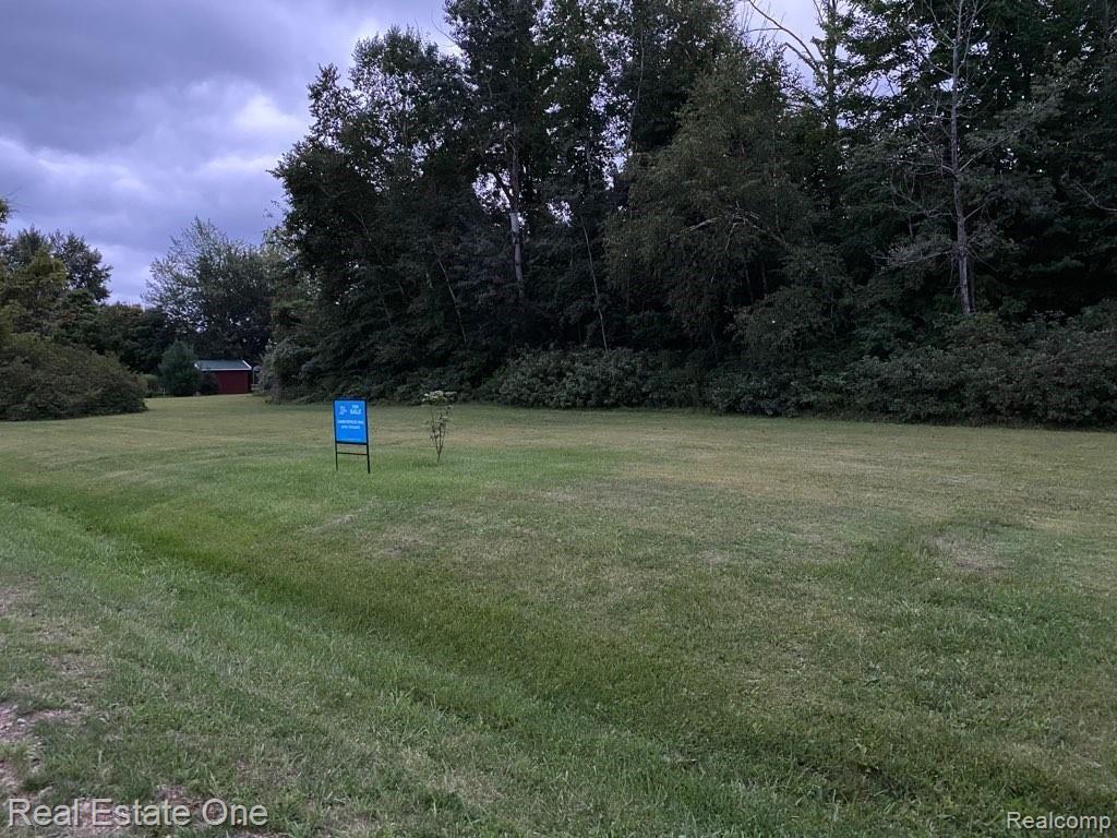 0 Birchtree Road Lexington, MI 48450 - Photo 6 of 19