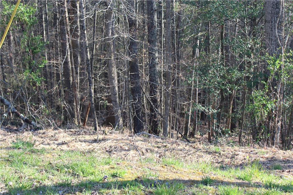 Tbd Zacks Farm Road, Unit 13 Lenoir, NC 28645 - Photo 1 of 9 Gallery Image 1
