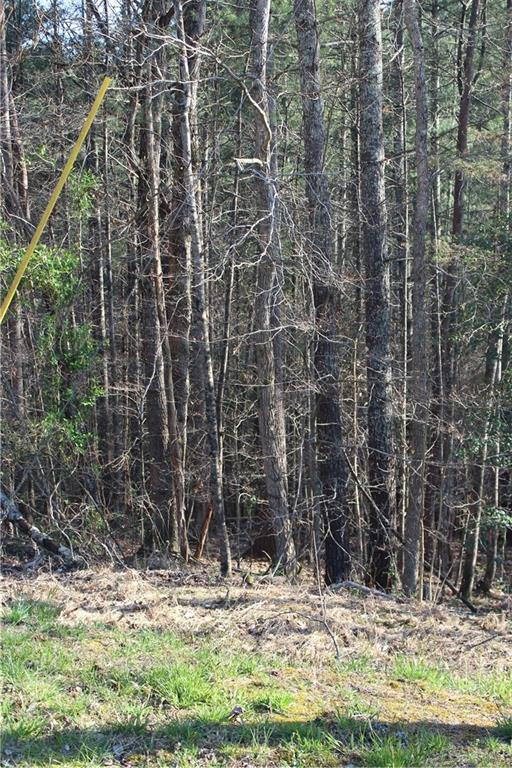 Tbd Zacks Farm Road, Unit 13 Lenoir, NC 28645 - Photo 2 of 9 Gallery Image 2