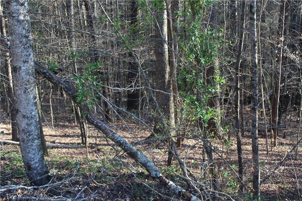 Tbd Zacks Farm Road, Unit 13 Lenoir, NC 28645 - Photo 3 of 9 Gallery Image 3
