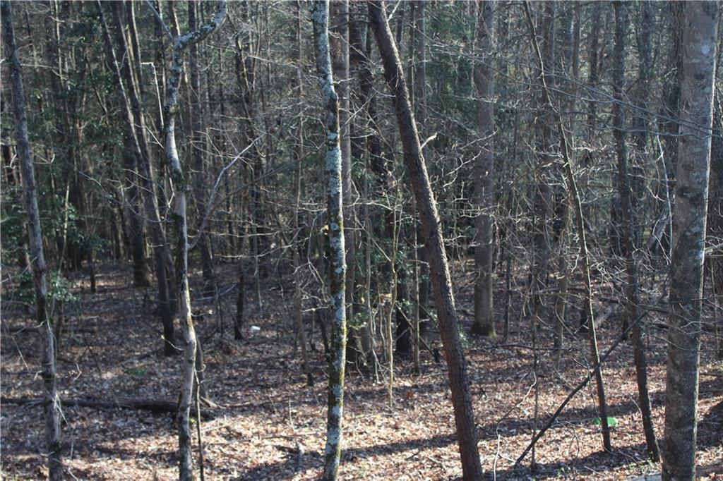 Tbd Zacks Farm Road, Unit 13 Lenoir, NC 28645 - Photo 5 of 9 Gallery Image 5