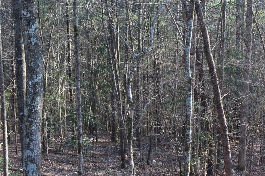 Tbd Zacks Farm Road, Unit 13 Lenoir, NC 28645 - Photo 6 of 9 Gallery Image 6