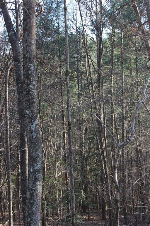 Tbd Zacks Farm Road, Unit 13 Lenoir, NC 28645 - Photo 7 of 9 Gallery Image 7