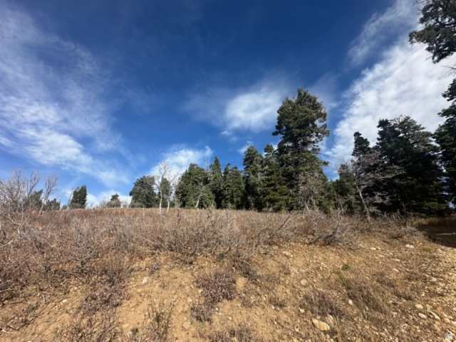 1974 Elk Road, Unit 140 Coalville, UT 84017 - Photo 17 of 18