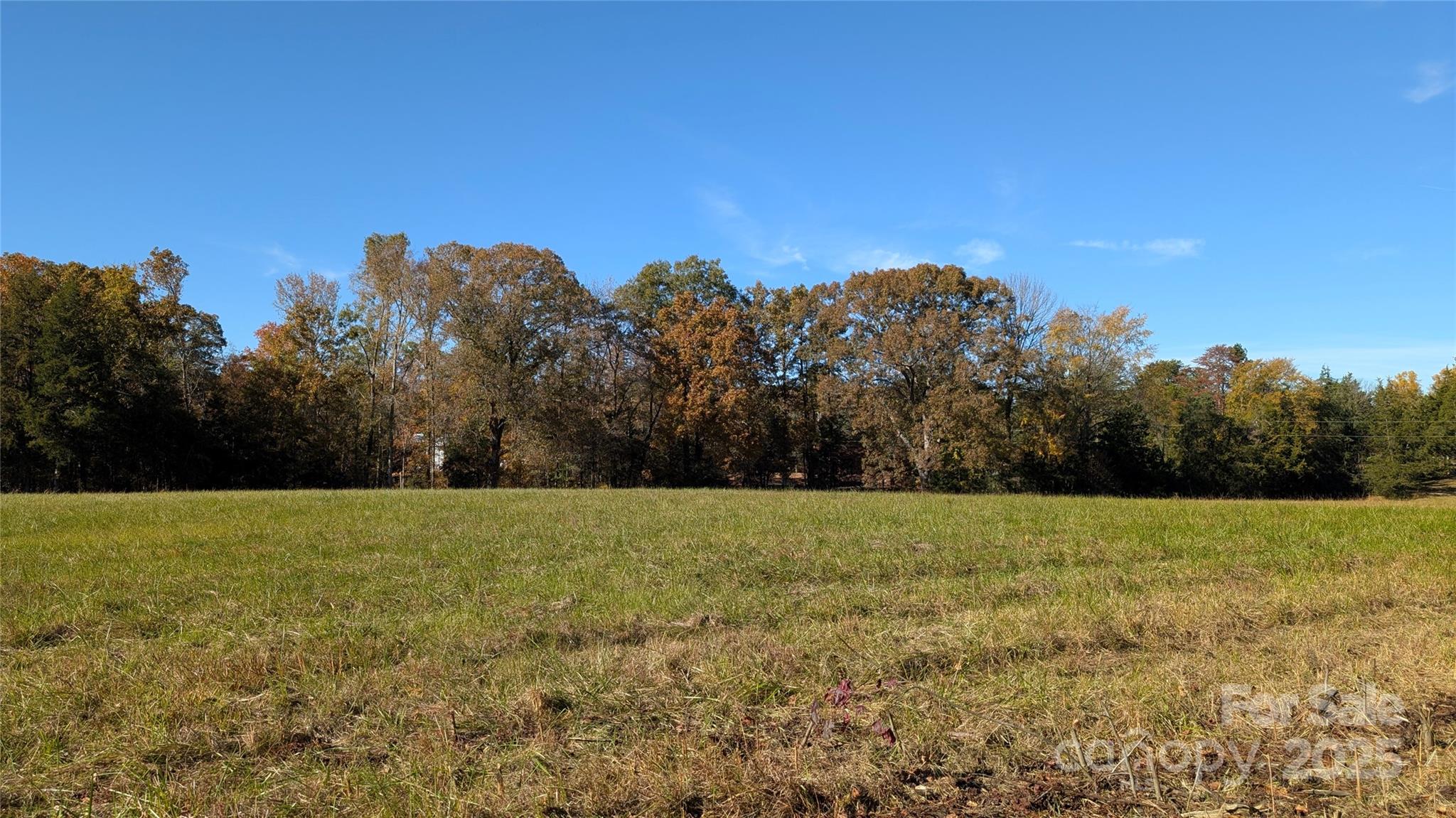Tract C Cedar Grove Road Clover, SC 29710 - Photo 26 of 29 a view of grassy field with trees