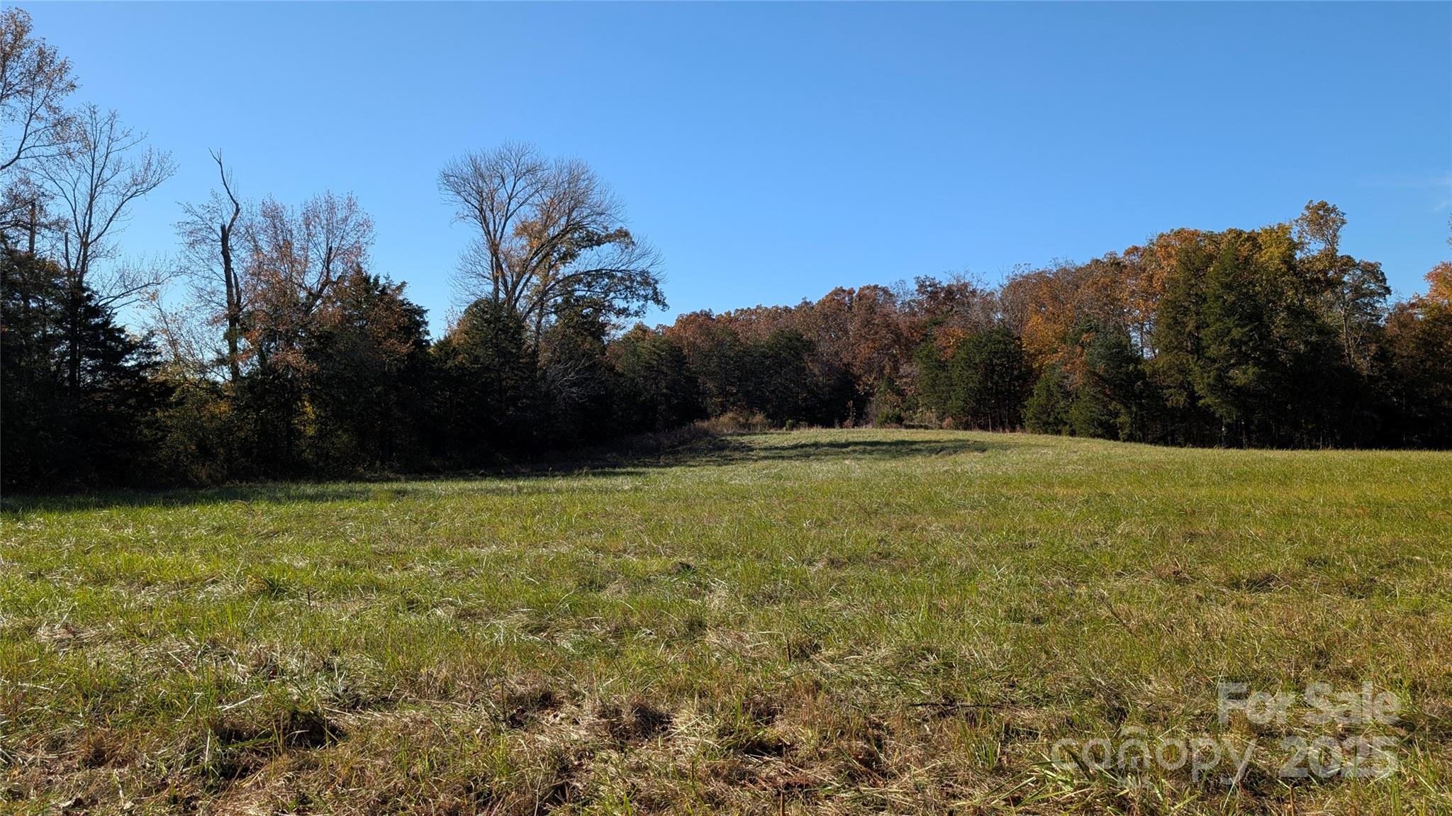 Tract C Cedar Grove Road Clover, SC 29710 - Photo 28 of 29 a view of outdoor space and yard
