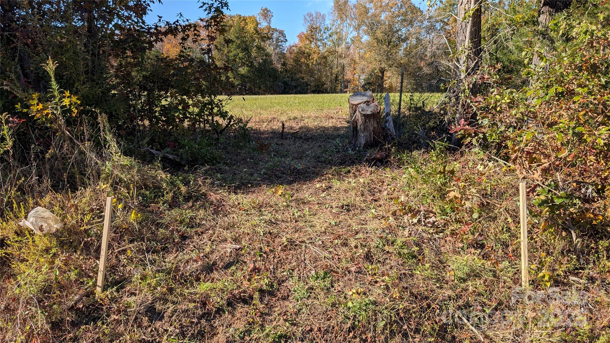 Tract C Cedar Grove Road Clover, SC 29710 - Photo 29 of 29 a view of a yard with wooden fence