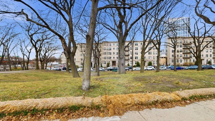 56 Charlesgate East, Unit 138 Boston, MA 02215 - Photo 11 of 17 a view of a yard with a tree