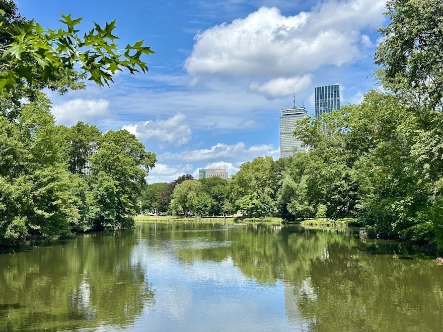 56 Charlesgate East, Unit 138 Boston, MA 02215 - Photo 15 of 17 a view of a lake with a yard