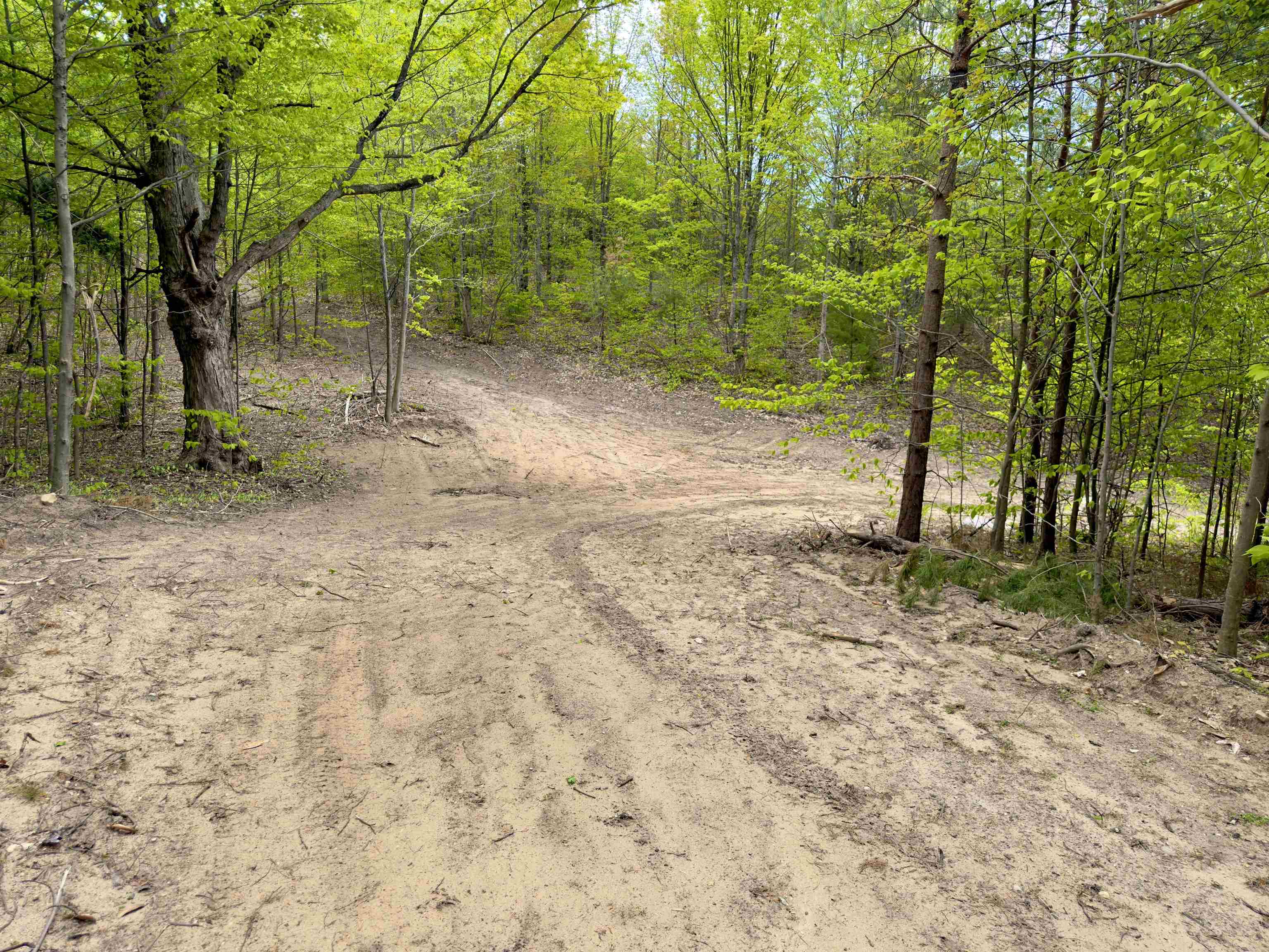 3779 Scholl Road Mancelona, MI 49659 - Photo 5 of 16