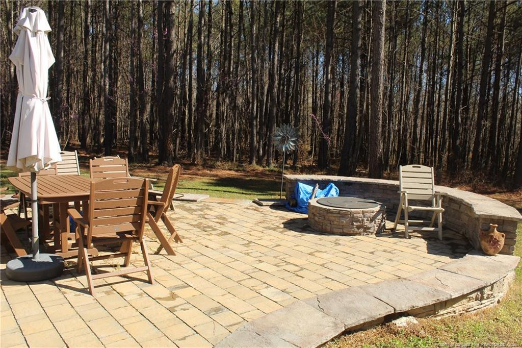 951 Lucian Hilliard Road Goldston, NC 27252 - Photo 21 of 24 Photo 21