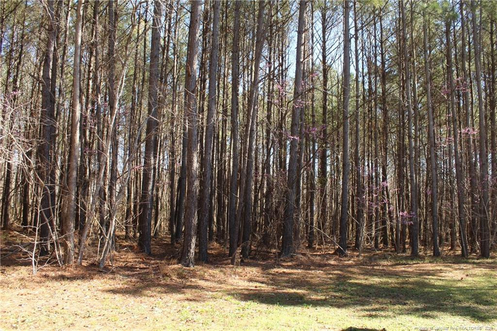 951 Lucian Hilliard Road Goldston, NC 27252 - Photo 24 of 24 Photo 24