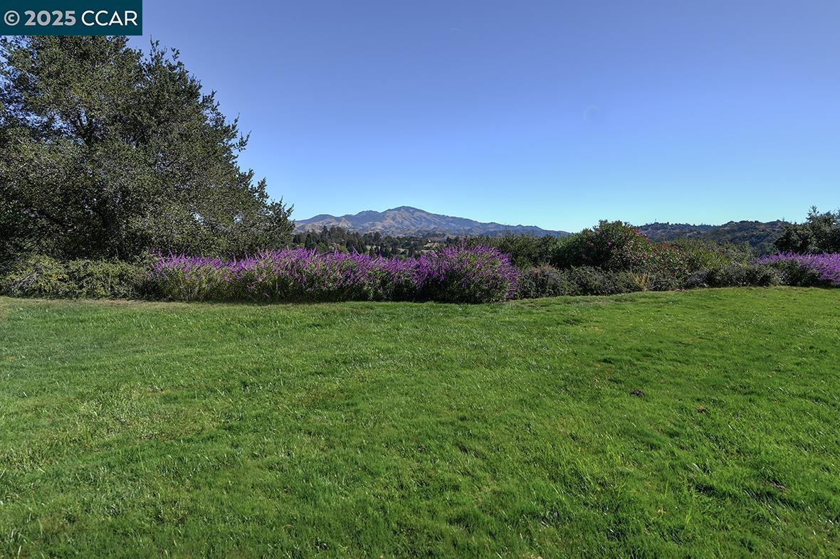 2148 Golden Rain Road, Unit 1 Walnut Creek, CA 94595 - Photo 3 of 48 a view of a green field with mountains in the background