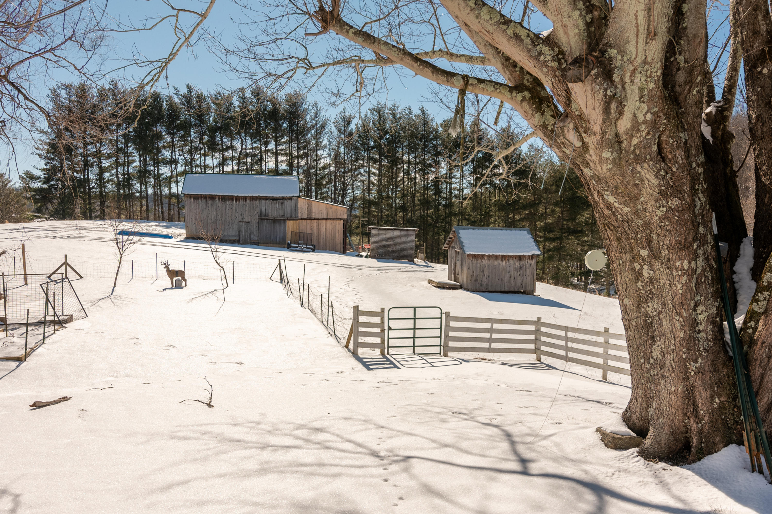 1696 Conner Grove Road Southwest Willis, VA 24380 - Photo 34 of 41 a view of outdoor space yard and patio