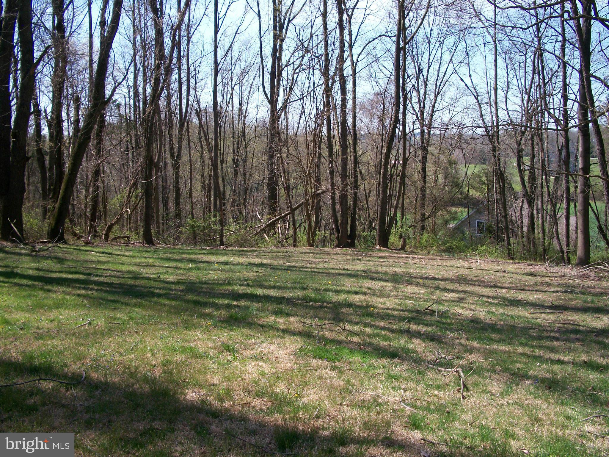 715 Chestnut Hill Road Forest Hill, MD 21050 - Photo 8 of 30 View of Rear Yard