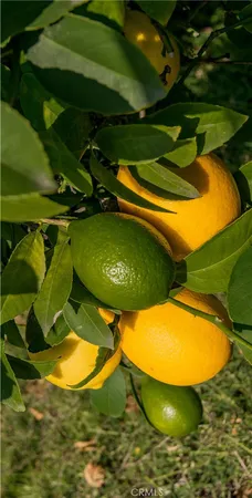 a view of a swimming pool