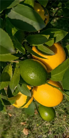 $575,000 | 2820 Mount Curve Avenue East, Altadena, CA 91001