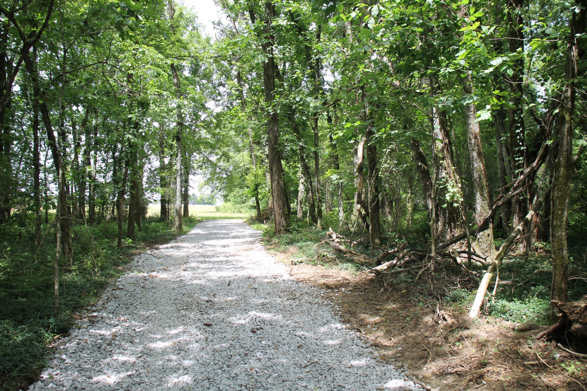 0 Bass Road Bethpage, TN 37022 - Photo 1 of 3 Gallery Image 1