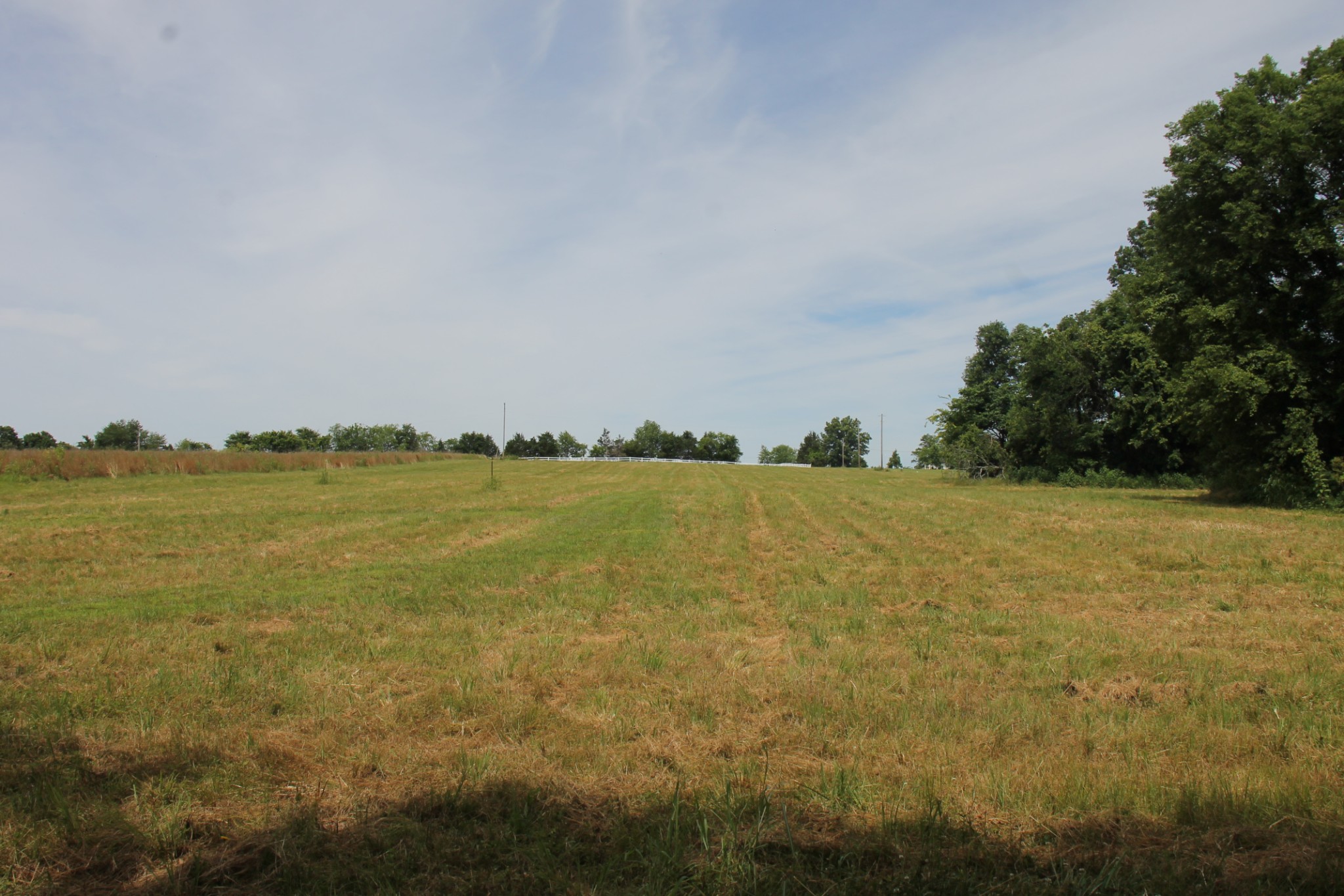 0 Bass Road Bethpage, TN 37022 - Photo 2 of 3 Gallery Image 2