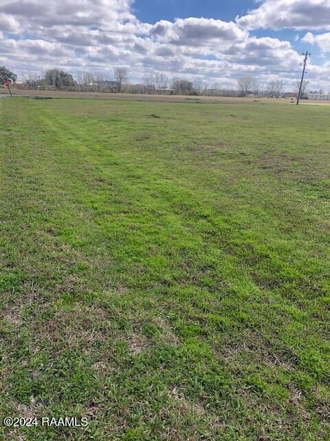 26 Delcambre Road Breaux Bridge, LA 70517 - Photo 4 of 5 4