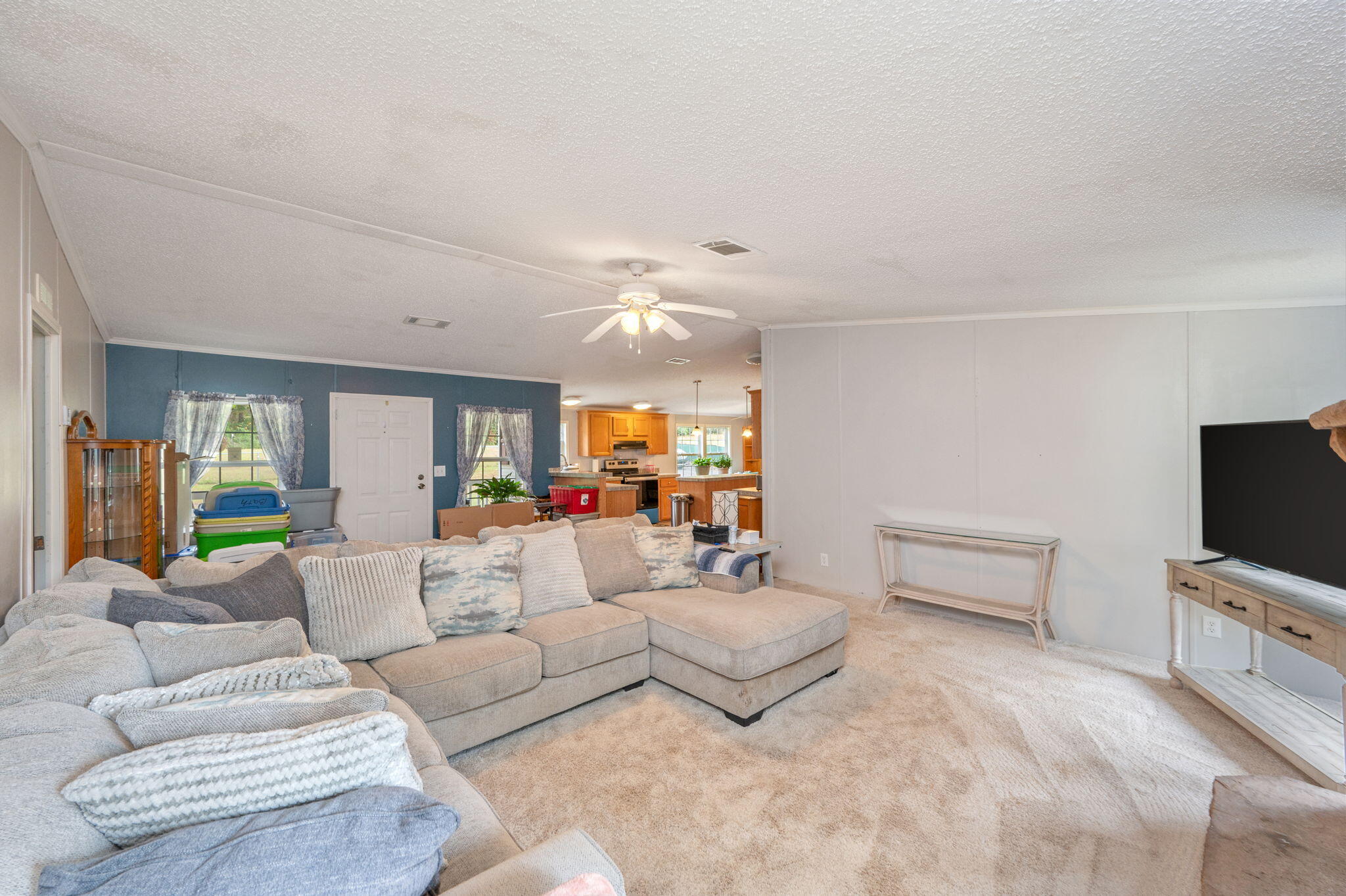 6918 Bill Lundy Road Laurel Hill, FL 32567 - Photo 14 of 27 a living room with furniture and a flat screen tv