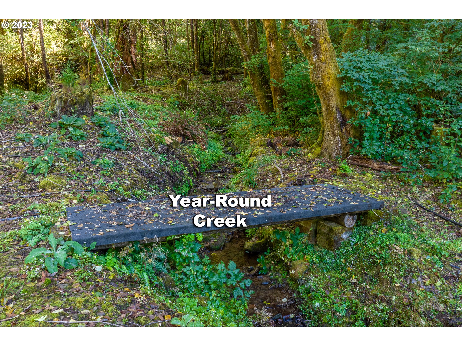 12212 East Mapleton Road Mapleton, OR 97453 - Photo 45 of 48