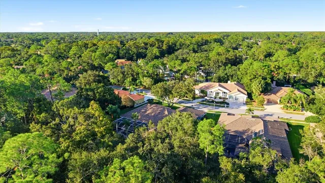 $1,425,000 | 4954 Turtle Creek Trail, Oldsmar, FL 34677