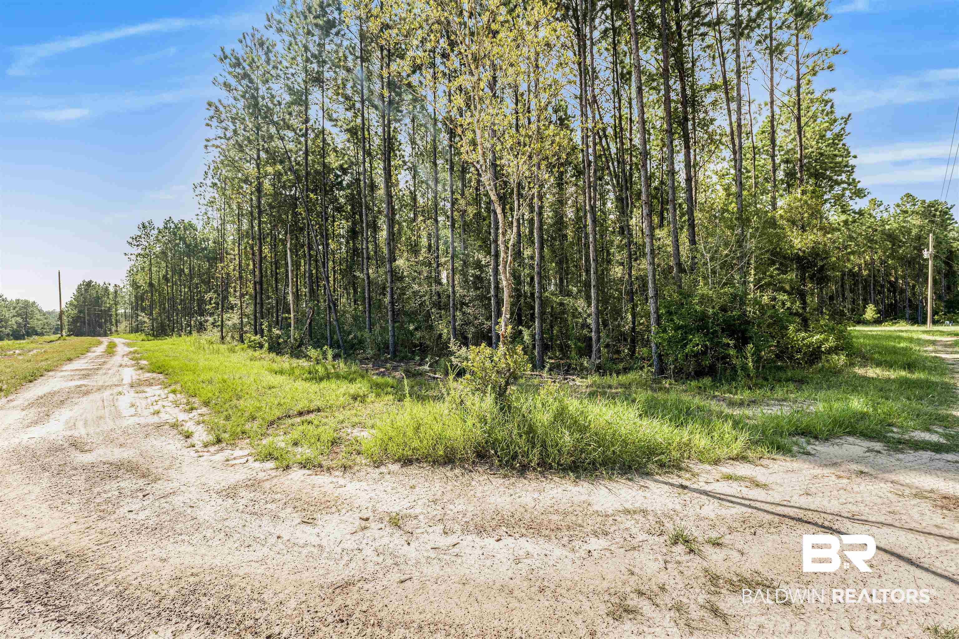 27861 New Hope Church Road Robertsdale, AL 36567 - Photo 8 of 29 View of road